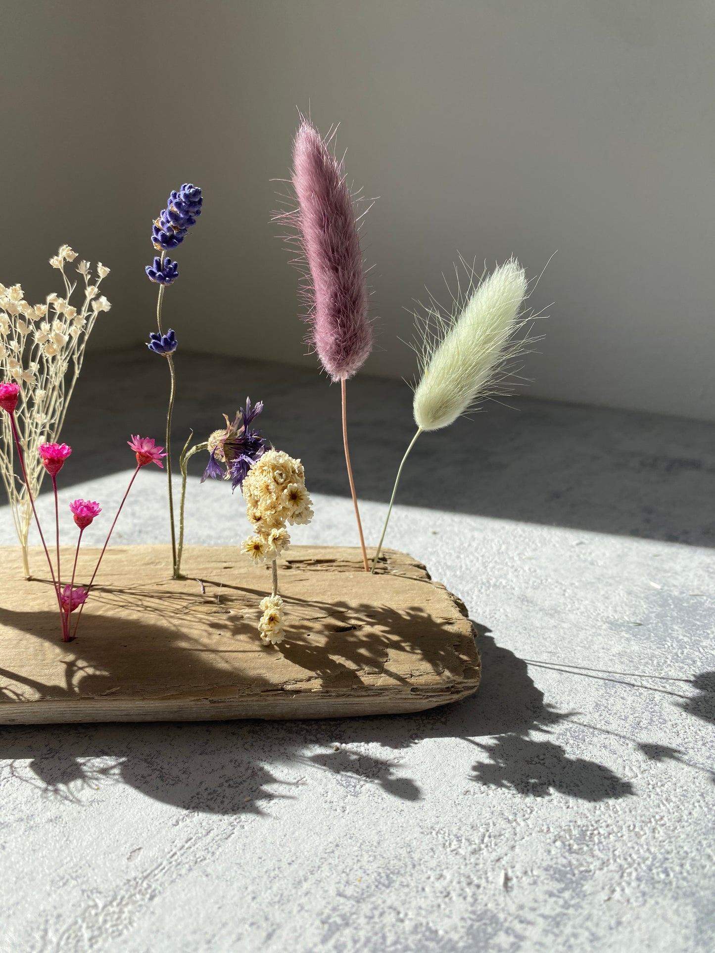 Flowerboard | Schwemmholz | Trockenblumen